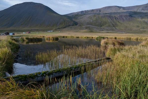 Laghetto Sullo Sfondo Verdi Montagne Collinari Paesaggio Tradizionale Dell Islanda — Foto Stock
