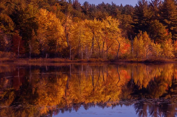 Bela Vista Lago Outono Reflexão Vermelho Laranjeiras Amarelas Superfície Calma — Fotografia de Stock