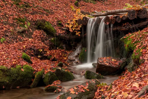 Pequena Cachoeira Riacho Uma Bela Floresta Outono Caduca Folhas Outono — Fotografia de Stock