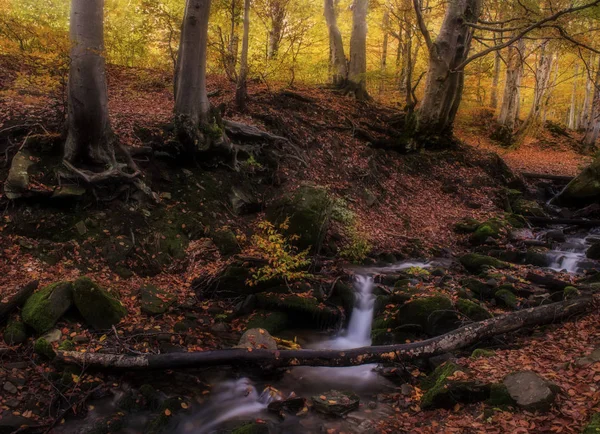 Small creek waterfall in a beautiful deciduous autumn forest. Bright autumn leaves on stones covered with moss by the river. Beautiful autumn landscape. Long exposure.