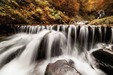 Sonbahar ormanındaki taşların arasında çağlayan şelalesi. 