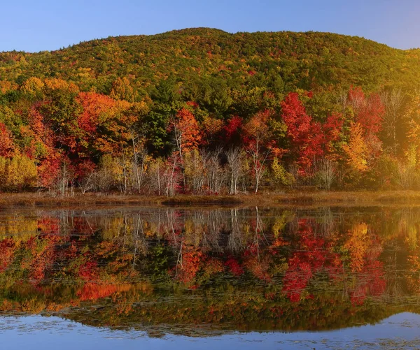 Schöne Aussicht Auf Den Herbstsee Reflexion Roter Orangefarbener Bäume Der — Stockfoto