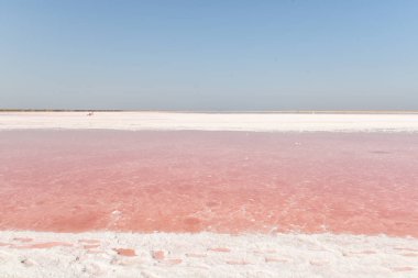 Tuzlu pembe göl. Pembe su ile bir gölün inanılmaz manzara, kıyıda tuz izleri.