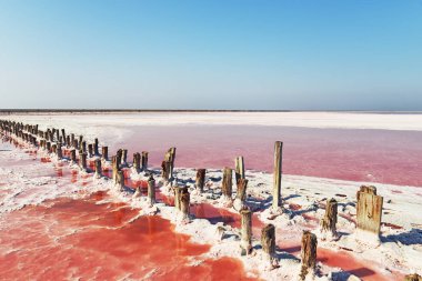Pembe su ve tuz ile benzersiz tuz gölü . Tuz kristalleri ile kaplı ahşap sütunlar satır.