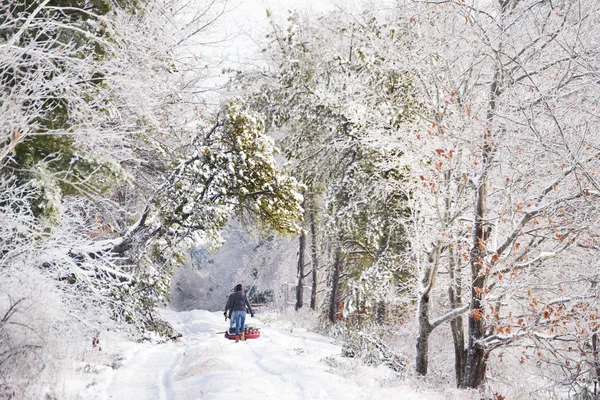 Зимний Снежный Красивый Парк Лес Люди Ходят Лесу Зимние Забавы — стоковое фото