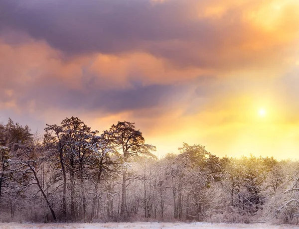 Winterlandschaft Schöner Wald Schnee Bei Sonnenuntergang Usa Maine — Stockfoto