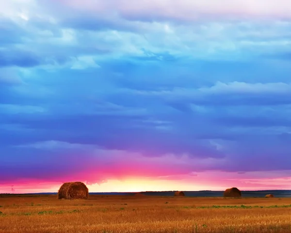 Круглый Сноп Сена Собранном Пшеничном Поле Красивый Закат — стоковое фото