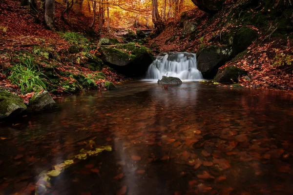 Небольшой Ручеек Водопада Красивом Лиственном Осеннем Лесу Яркие Осенние Листья — стоковое фото