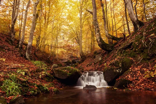 Waterfall Cascade Beautiful Deciduous Autumn Forest Bright Autumn Leaves Stones — Stock Photo, Image