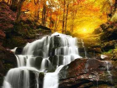 Şelale Cascade güzel bir yaprak döken sonbahar ormanında. Parlak sonbahar yaprakları nehir tarafından yosun kaplı taşlar üzerinde. Güzel sonbahar manzarası. Uzun pozlama.