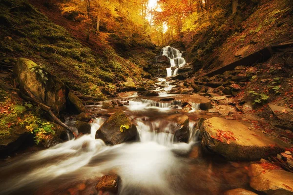 Şelale Cascade Güzel Bir Yaprak Döken Sonbahar Ormanında Parlak Sonbahar — Stok fotoğraf
