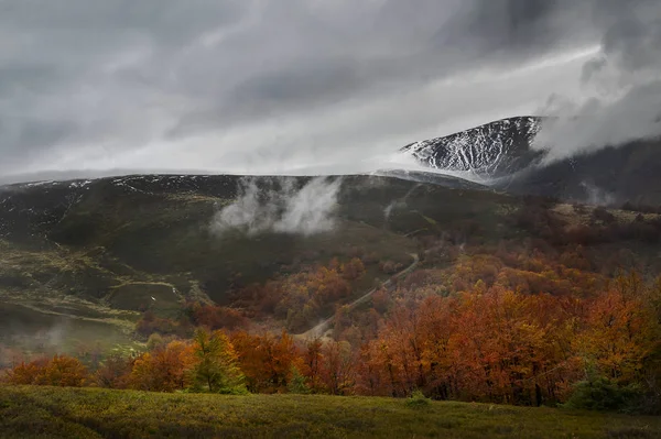 Žlutý Podzimní Les Úpatí Hor Pokrytý Prvním Sněhem Pozdní Podzim — Stock fotografie