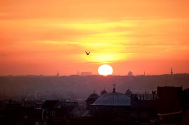 Günbatımında İstanbul manzarası. Eski evlerin çatıları, ufukta batan büyük güneş, gün batımına karşı duran martılar. Antik şehrin atmosferi.