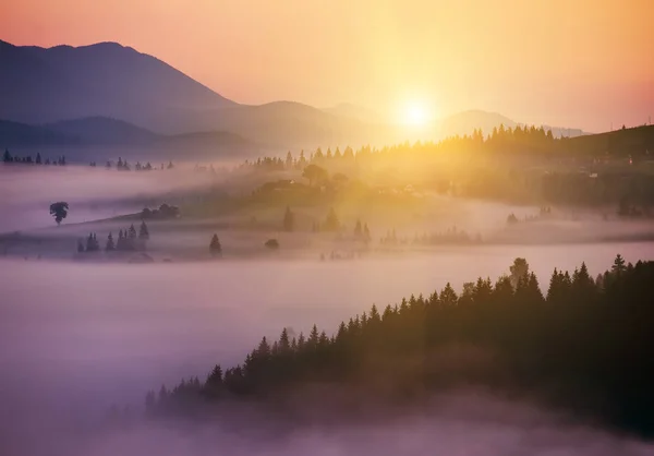 Silhouette Der Berge Und Morgennebel Einem Tal Zwischen Nadelwäldern Wunderschöne — Stockfoto