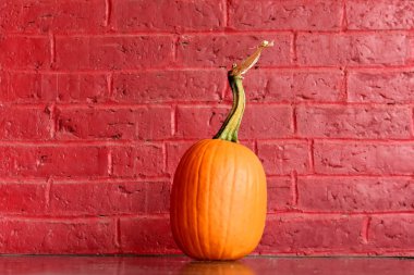 Sonbaharın sembolü kırmızı tuğla bir duvarın arka planındaki bir balkabağıdır..