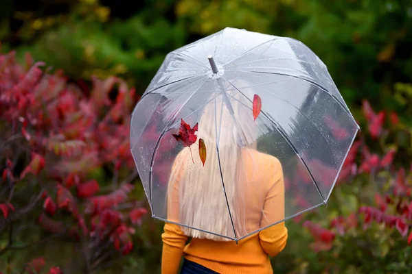 Chica Con Pelo Largo Blanco Bajo Paraguas Transparente Tiempo Lluvioso — Foto de Stock