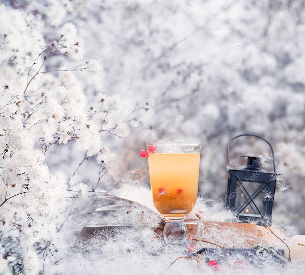 Gentle autumn winter still life with sea buckthorn tea and fluffy white flowers similar to snow. Artistic gentle calm photo.