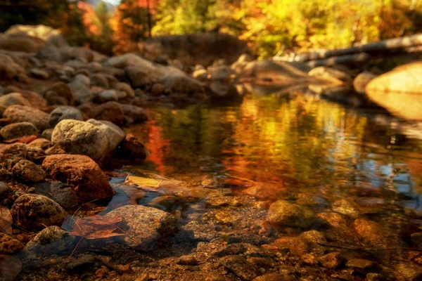 河流在秋天的森林里流过石子 明镜映照在五彩缤纷的秋树的水中 阳光灿烂的秋天 在国家公园里 Usa 新罕布什尔州国家公园 — 图库照片