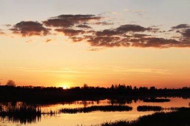 Ormandaki gölde gün batımı. Doğada rahatlamak için rahatlatıcı bir yer. Günbatımının yansıması sudaki gökyüzünün.