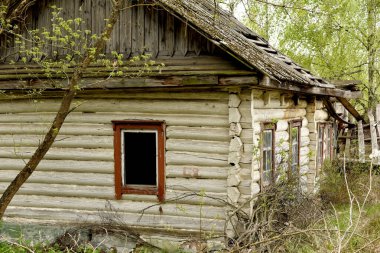 Destroyed wooden old houses in an abandoned village evicted during the Chernobyl accident at a nuclear power plant. Ukraine. clipart