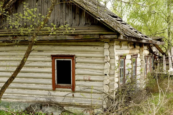 Destroyed Wooden Old Houses Abandoned Village Evicted Chernobyl Accident Nuclear — Stock Photo, Image
