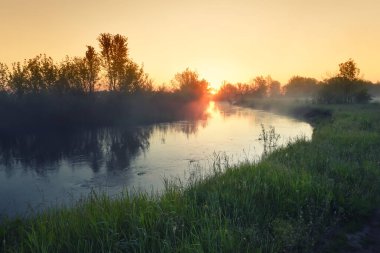 Gölde şafak vakti. Sisin içinde güneş, suyun üstünde çimenler kıyıda.. 
