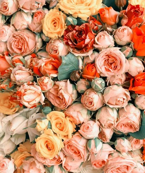 Fundo Floral Botões Rosa Pequenos Multi Coloridos — Fotografia de Stock