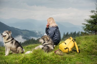 Malamute cinsinden iki köpek dağlardaki bir çayırda turist bir kız ve sırt çantasının yanında yatıyor. Arka planda bir orman ve dağlar var. Turizm atmosferi ve doğada seyahat.