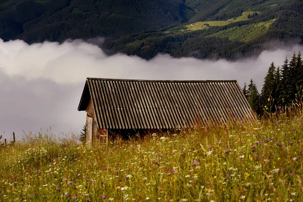 Barracão Rural Prado Com Flores Uma Área Montanhosa Pasto — Fotografia de Stock