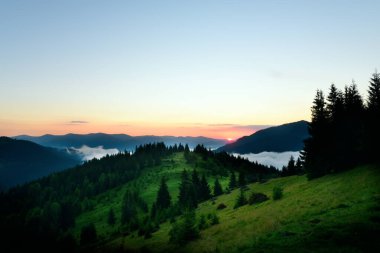 Dağlarda şafak manzarası. Dağların arasında sis, yamaçlarda yeşil bir kozalaklı orman ve dağların arkasından doğan güneş..