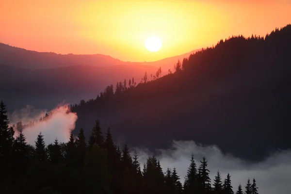 Blick Morgengrauen Die Berge Nebel Zwischen Den Bergen Ein Grüner — Stockfoto