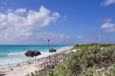 Karayip Denizi 'nde tropik bir sahil. Zümrüt su ve tropikal bitki örtüsü kıyıda. Küba.