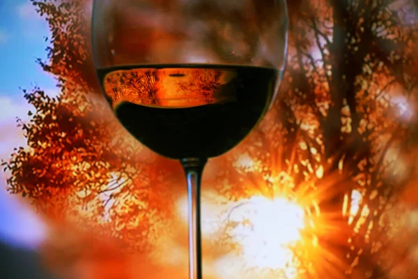 Glass Red Wine Background Bright Autumn Trees Sun Rays Artistic — Stock Photo, Image