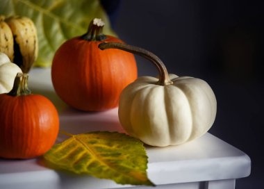 Beyaz ve kırmızı balkabakları ve sarı yapraklar koyu bir iç kısımda. sonbahar dekorasyonları.