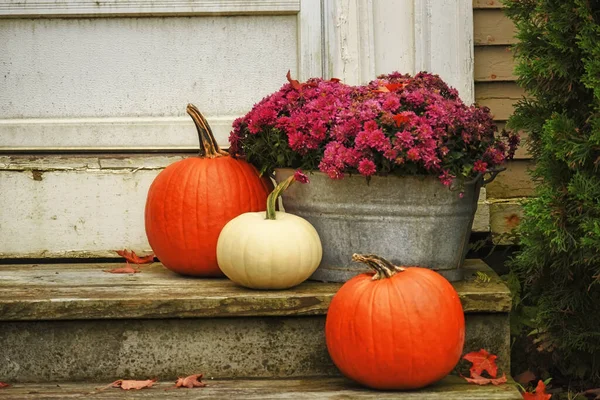 Czerwono Białe Dynie Chryzantemy Kwiaty Schodach Domu Jesiennym Ogrodzie Halloween — Zdjęcie stockowe