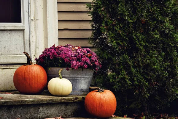 Red White Pumpkins Chrysanthemum Flowers Steps House Autumn Garden Halloween — Stock Photo, Image