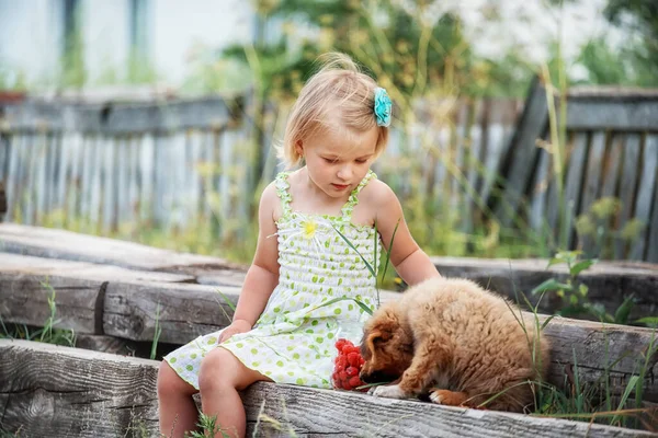 Una Chica Con Cachorro Joven Sienta Las Tablas Come Frambuesas — Foto de Stock