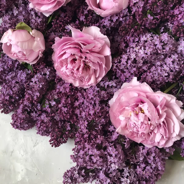 Цветы Сирени Пионов Цветочный Фон — стоковое фото