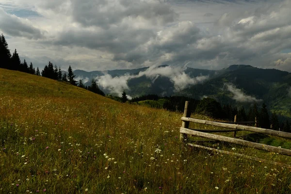 山の風景 山や霧を背景に花を咲かせます 劇的な空の暗い写真 — ストック写真