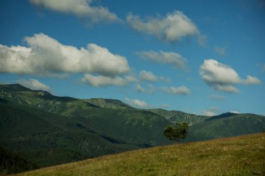 Harika bir dağ manzarası. Çiçek ormanları, yeşil dağlar ve güzel bulutlar