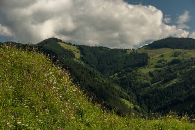 Harika bir dağ manzarası. Çiçek ormanları, yeşil dağlar ve güzel bulutlar