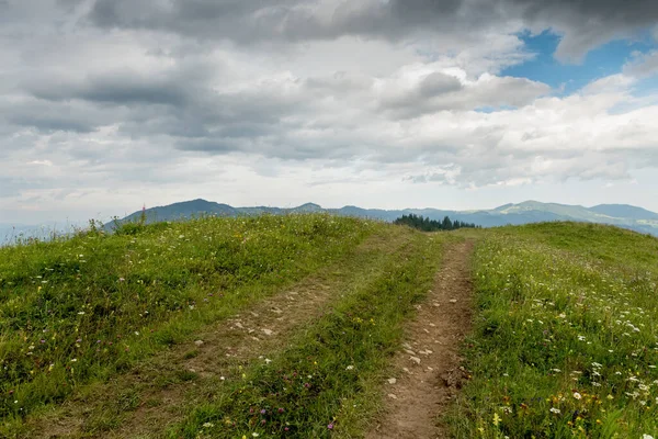 Špinavá Cesta Mezi Zelenými Loukami Horách Pohled Hory Pozadí — Stock fotografie