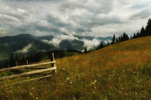 山の風景 山や霧を背景に花を咲かせます 劇的な空の暗い写真 — ストック写真