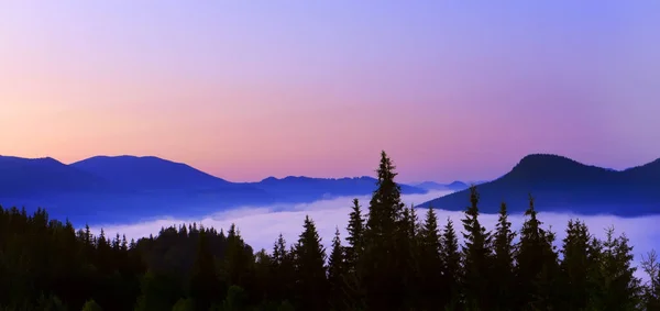 Foto Panorâmica Paisagem Montanhosa Amanhecer Silhuetas Escuras Montanhas Abetos Nevoeiro — Fotografia de Stock