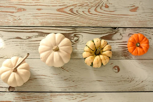 Diferentes Tipos Calabazas Pequeñas Sobre Una Superficie Madera Rugosa Blanca —  Fotos de Stock