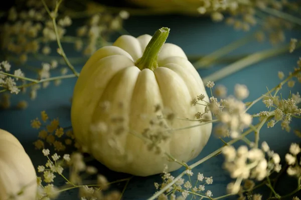 Delicate autumn still life of white pumpkins and delicate white flowers on a blue background. Soft selective focus.