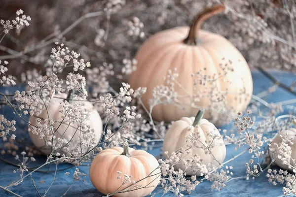 Delikatna Jesień Martwa Natura Białych Dyń Delikatne Białe Kwiaty Niebieskim — Zdjęcie stockowe