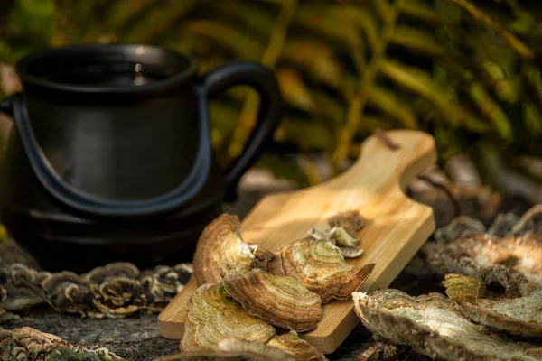 Chaga and Turkeys tail, Trametes versicolor mushroom. Mushroom coffee chaga superfood. Dried mushrooms and and a cup of coffee. Healthy organic energizing adaptogen, endurance boosting food ...