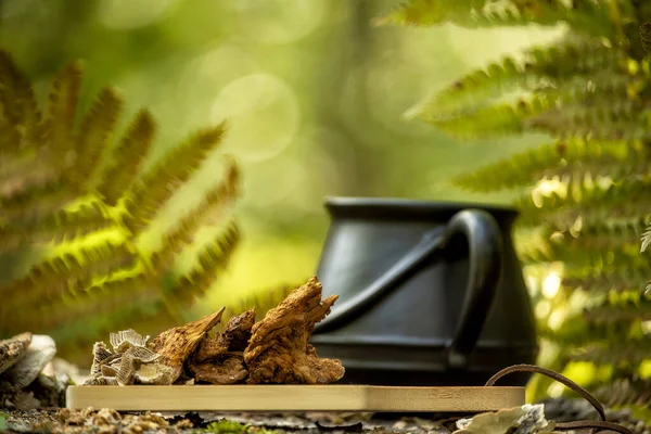 Chaga and Turkeys tail, Trametes versicolor mushroom. Mushroom coffee chaga superfood. Dried mushrooms and and a cup of coffee. Healthy organic energizing adaptogen, endurance boosting food ...