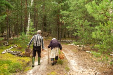 Kır saçlı yaşlı bir adam ve çok yaşlı bir kadın elinde mantar sepetiyle orman yolunda yürüyorlar. Otantik kırsal yaşam tarzı, gerçek insanlar, basit köy hayatı..